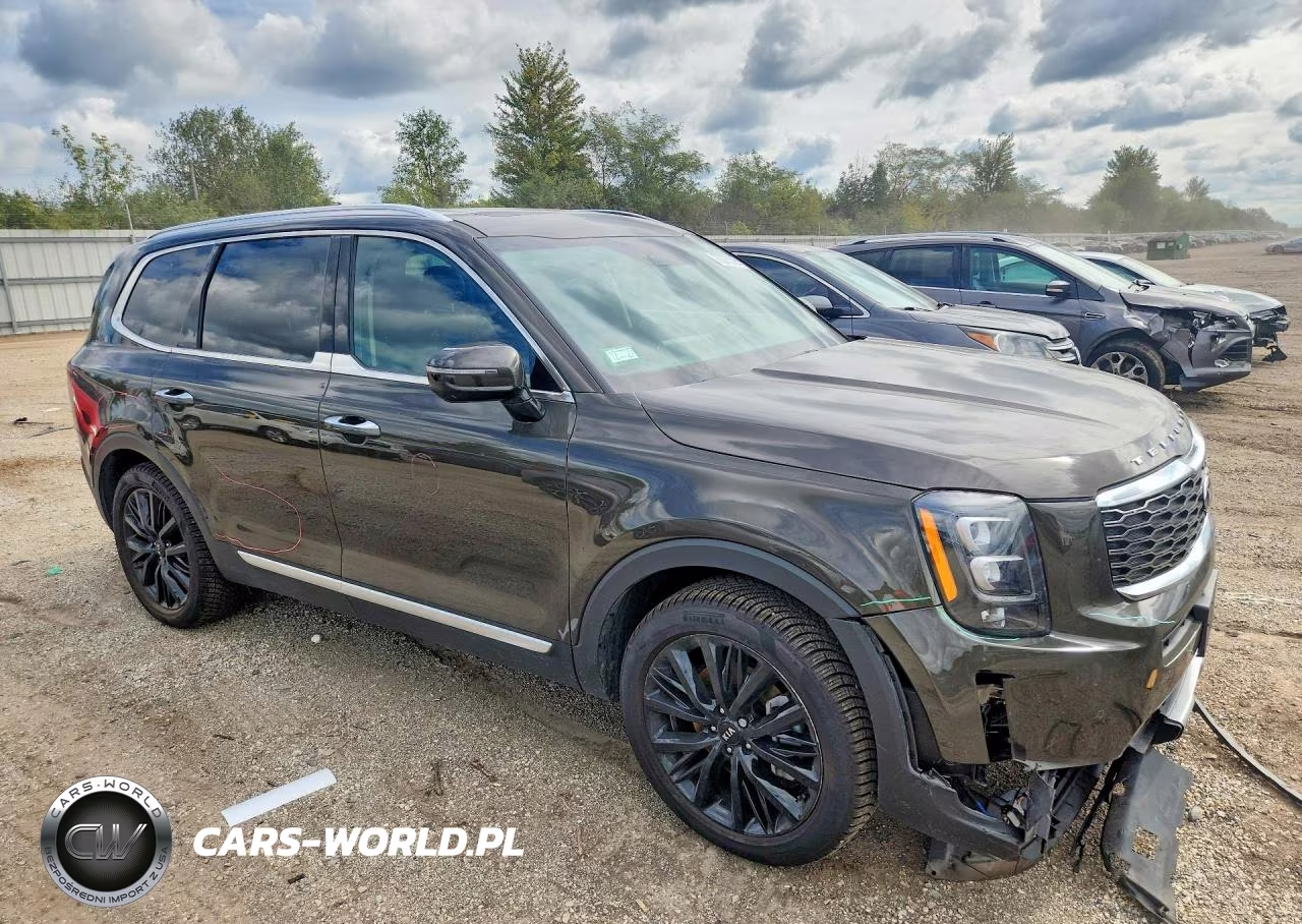 2020 Kia Telluride Sx VIN:5XYP5DHC7LG093474 - 4