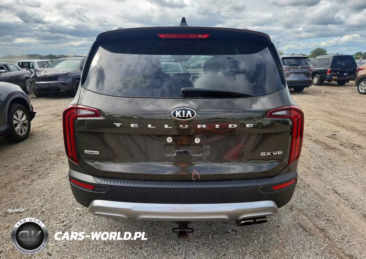 2020 Kia Telluride Sx VIN:5XYP5DHC7LG093474 - 6