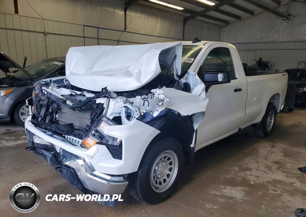 2024 Chevrolet Silverado K1500 VIN:3GCNDAED8RG309011 - 1