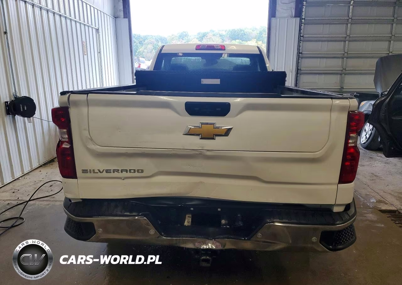 2024 Chevrolet Silverado K1500 VIN:3GCNDAED8RG309011 - 6