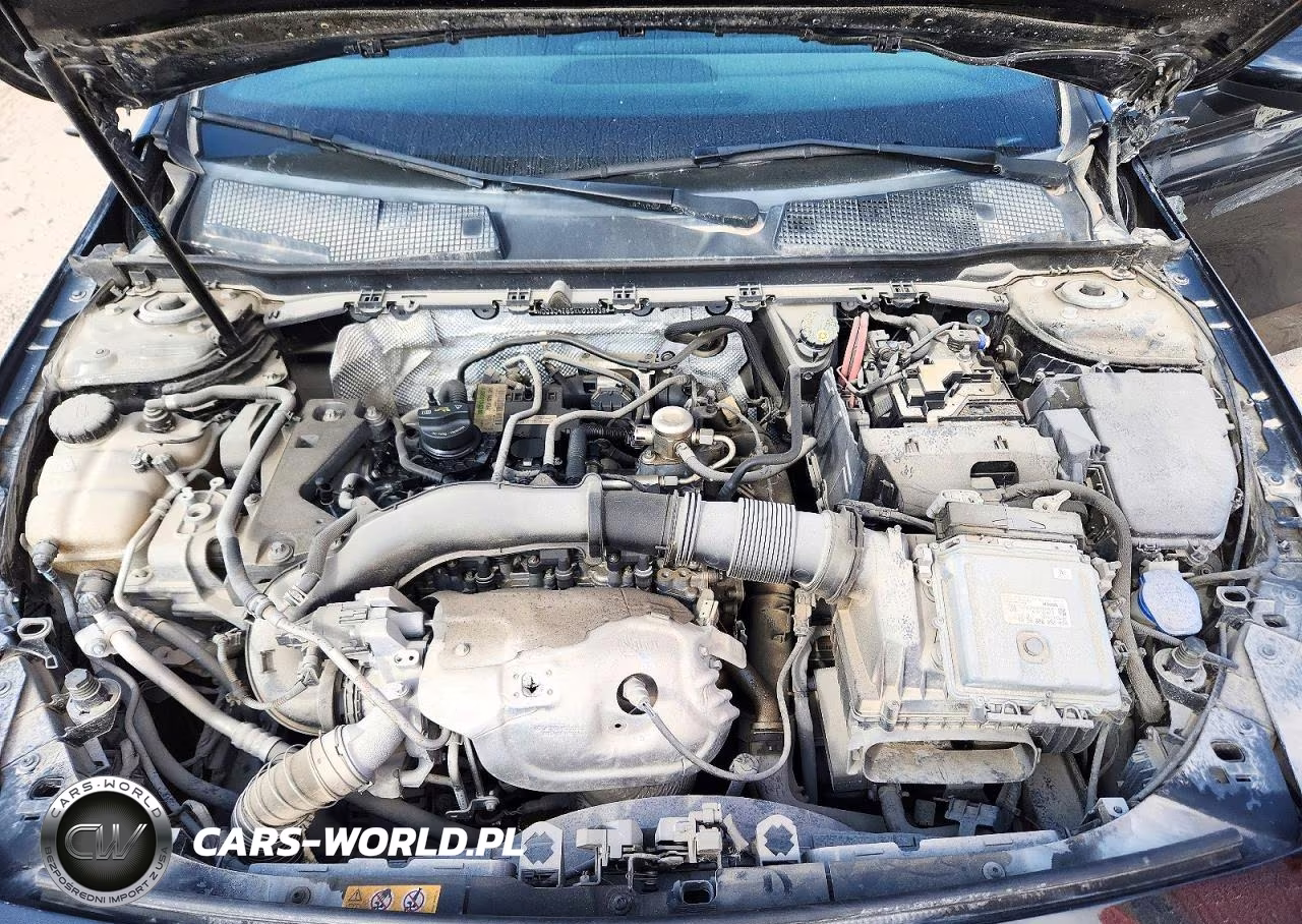 2019 Mercedes-Benz A 220 VIN:WDD3G4EB5KW035939 - 11