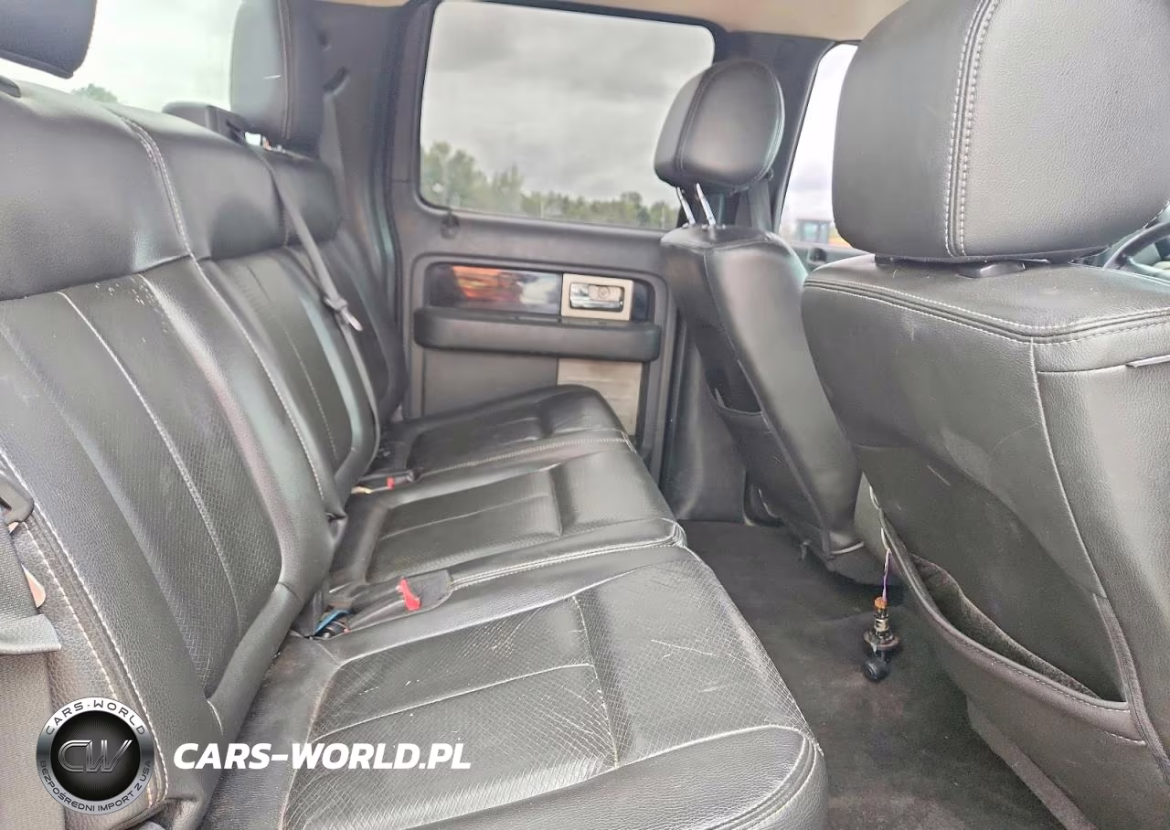 2010 Ford F150 Supercrew VIN:1FTFW1EV7AFA77207 - 10