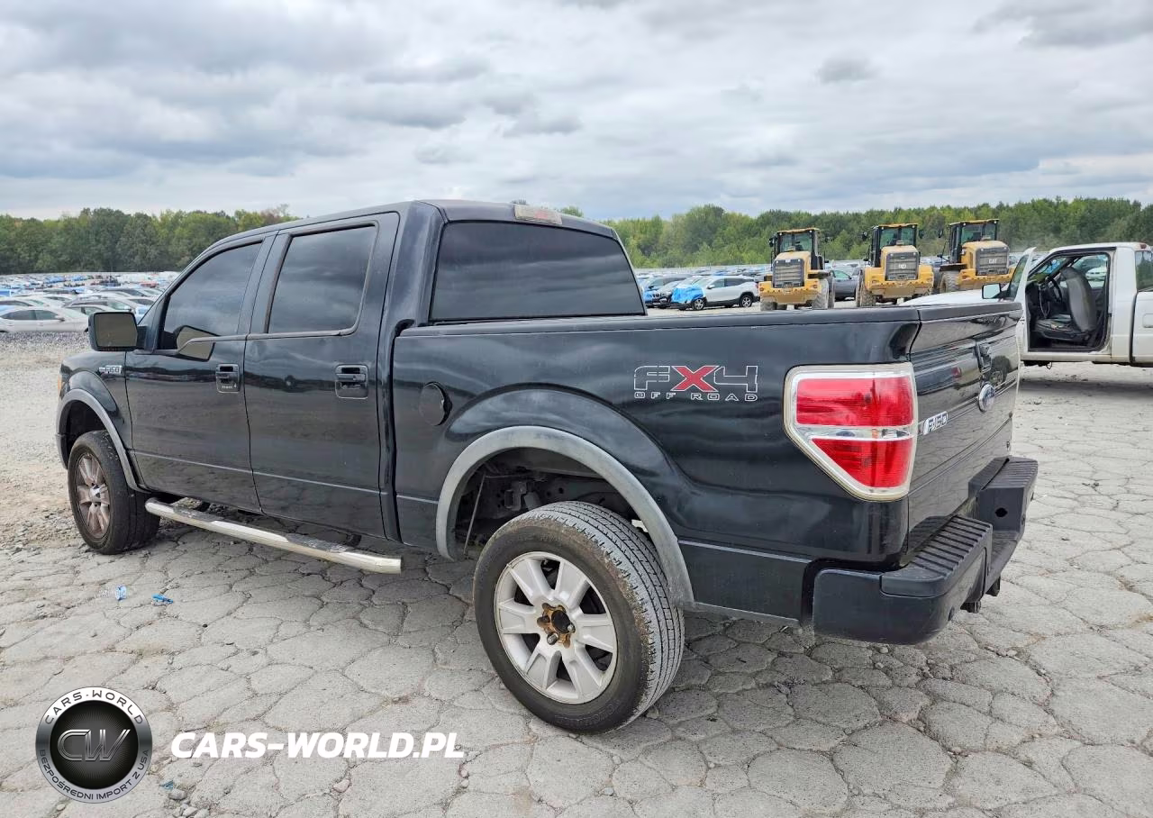 2010 Ford F150 Supercrew VIN:1FTFW1EV7AFA77207 - 2