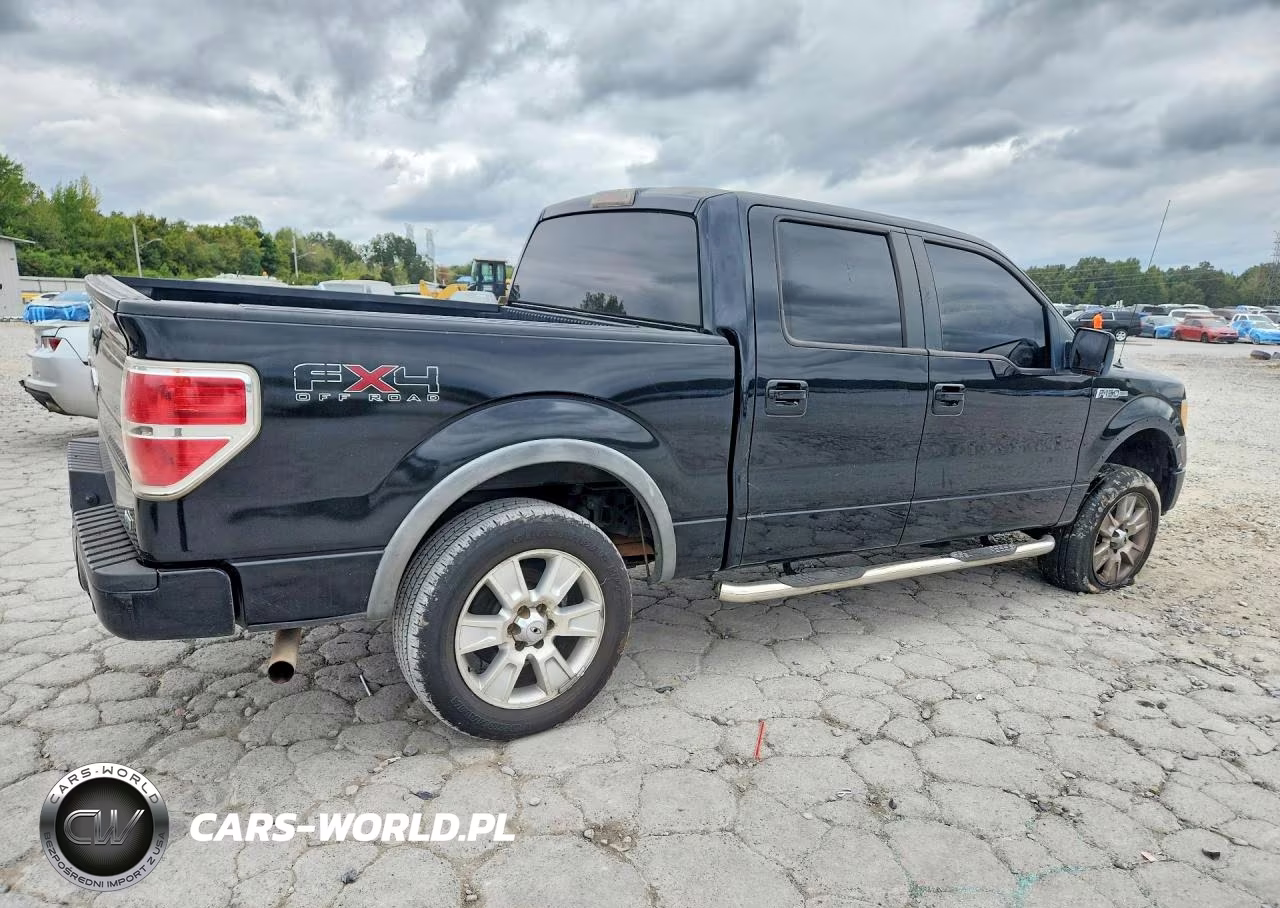 2010 Ford F150 Supercrew VIN:1FTFW1EV7AFA77207 - 3