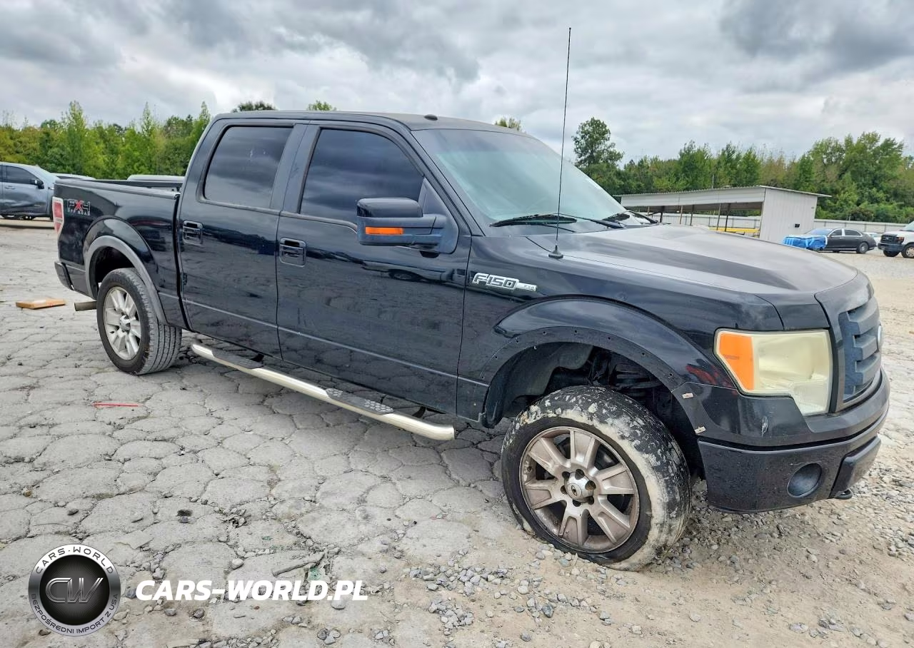 2010 Ford F150 Supercrew VIN:1FTFW1EV7AFA77207 - 4