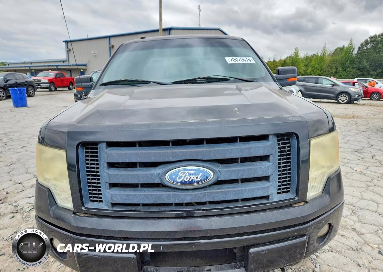 2010 Ford F150 Supercrew VIN:1FTFW1EV7AFA77207 - 5