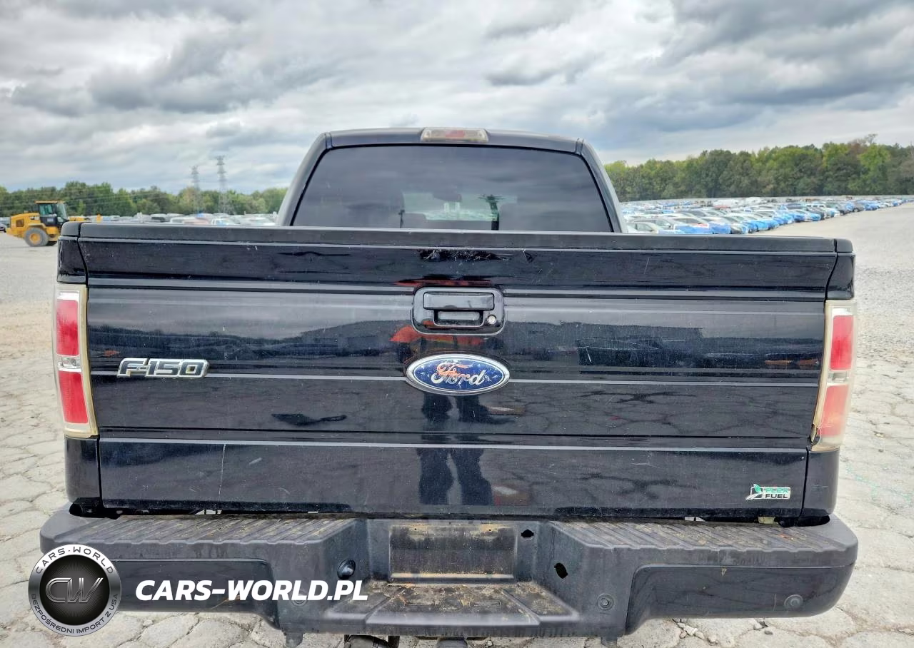 2010 Ford F150 Supercrew VIN:1FTFW1EV7AFA77207 - 6