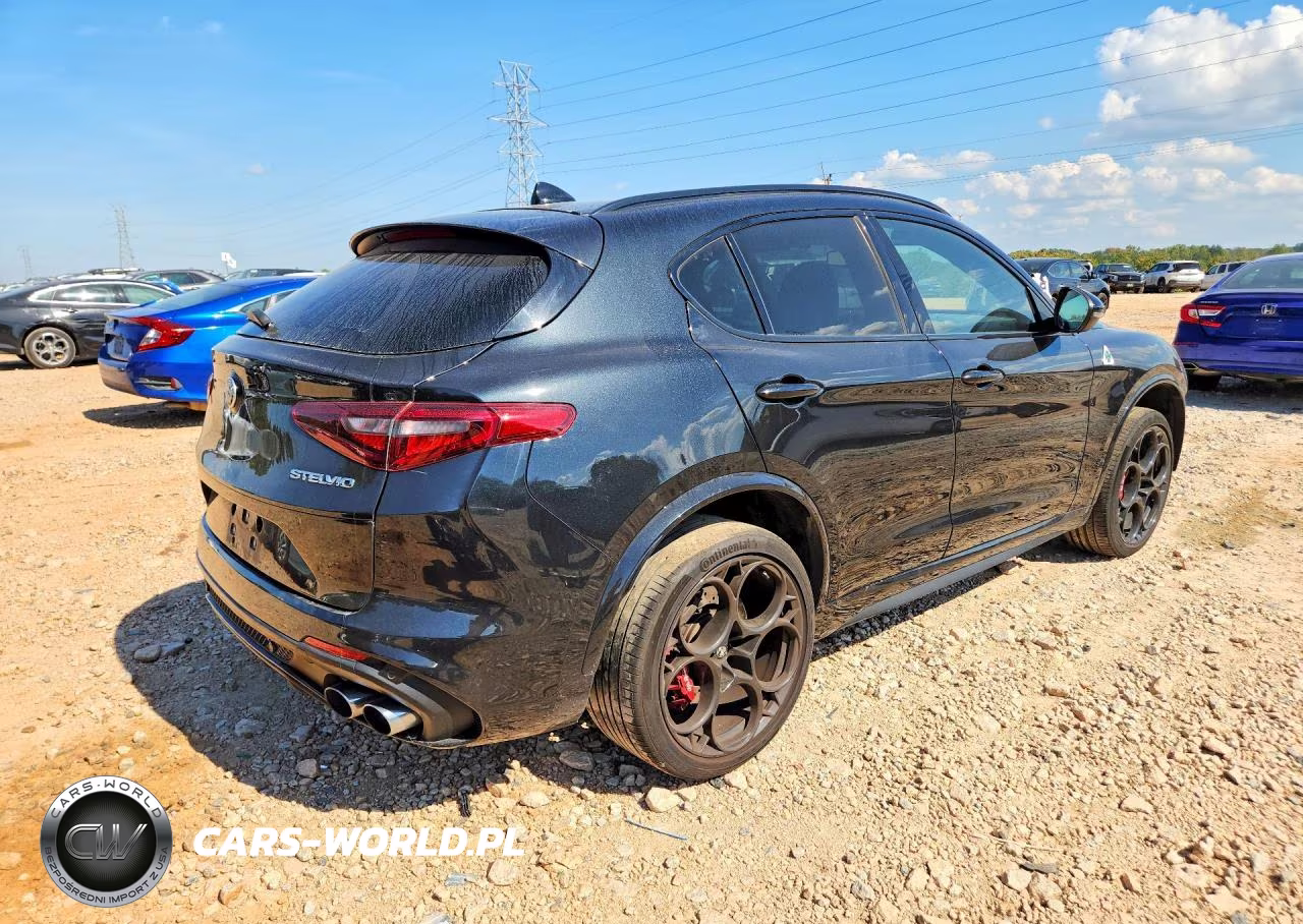 2023 Alfa Romeo Stelvio Quadrifoglio VIN:ZASPAKEV4P7D67536 - 3