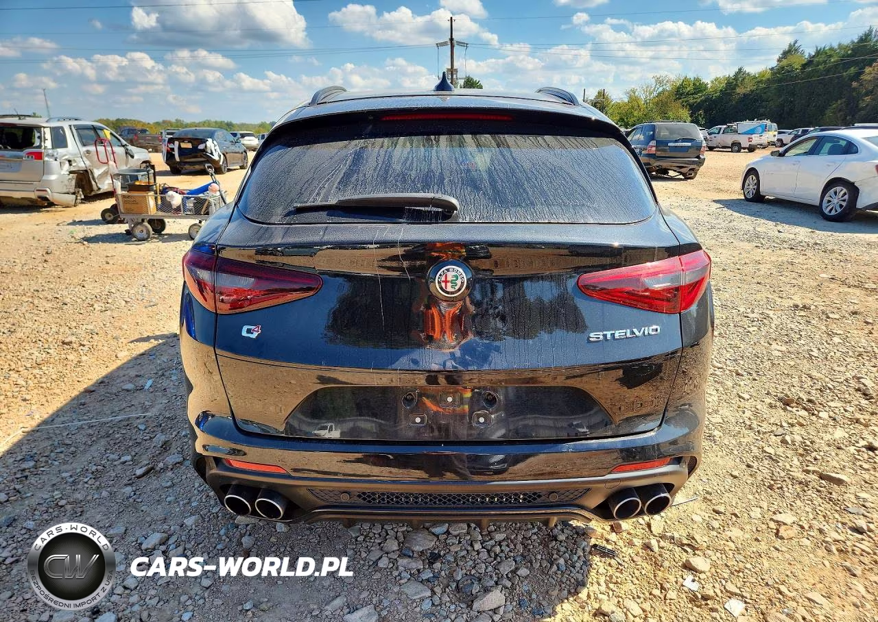 2023 Alfa Romeo Stelvio Quadrifoglio VIN:ZASPAKEV4P7D67536 - 6