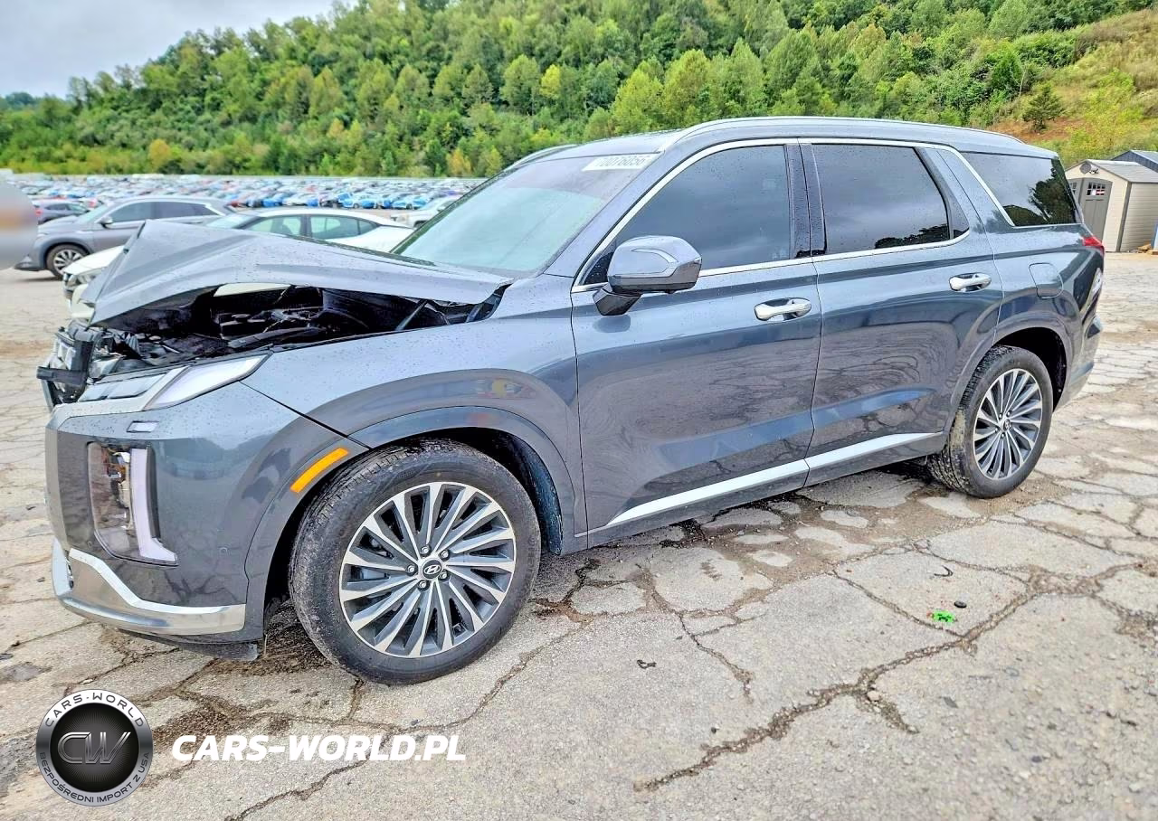 2024 Hyundai Palisade Calligraphy VIN:KM8R7DGE7RU805314 - 1