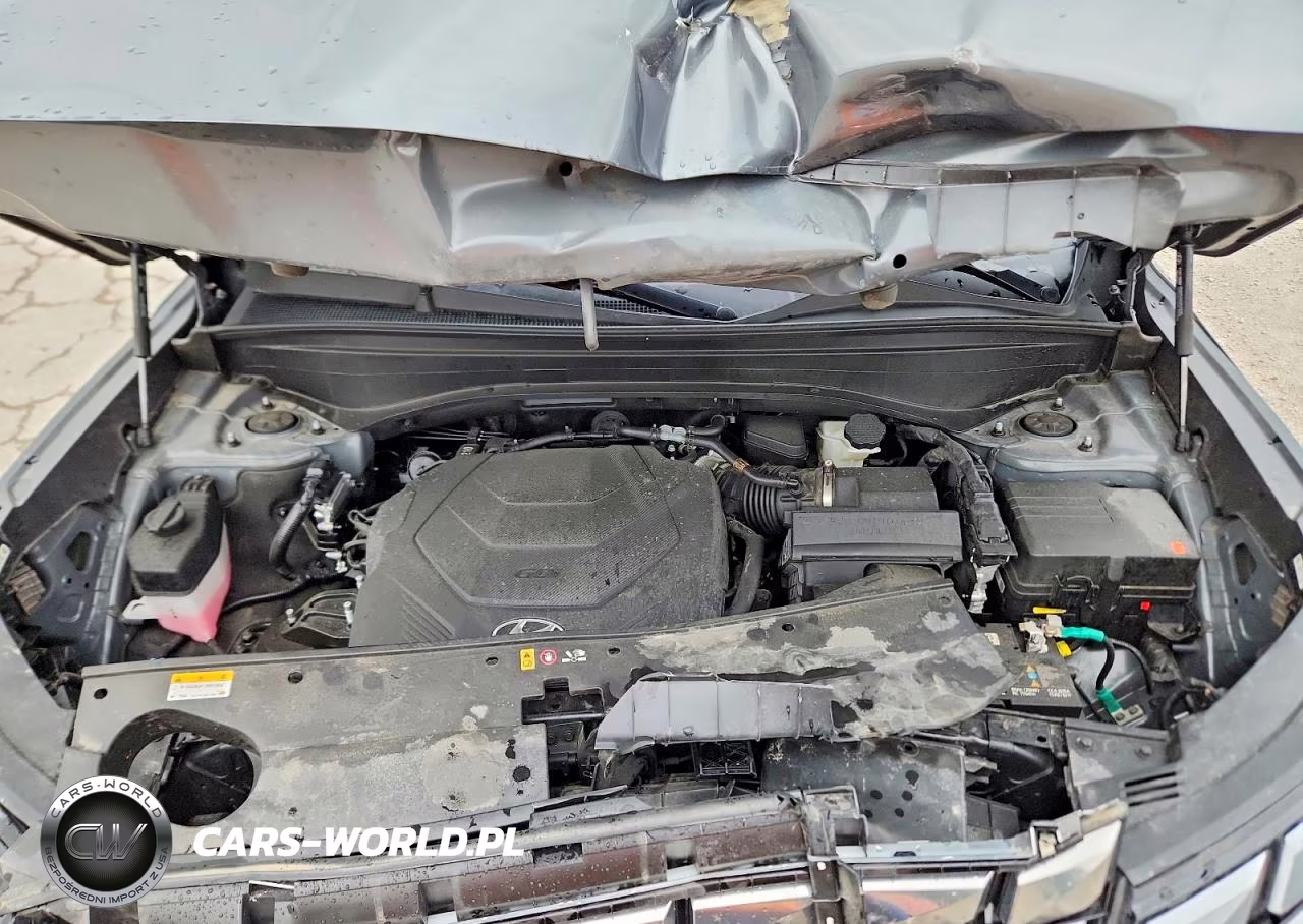2024 Hyundai Palisade Calligraphy VIN:KM8R7DGE7RU805314 - 12