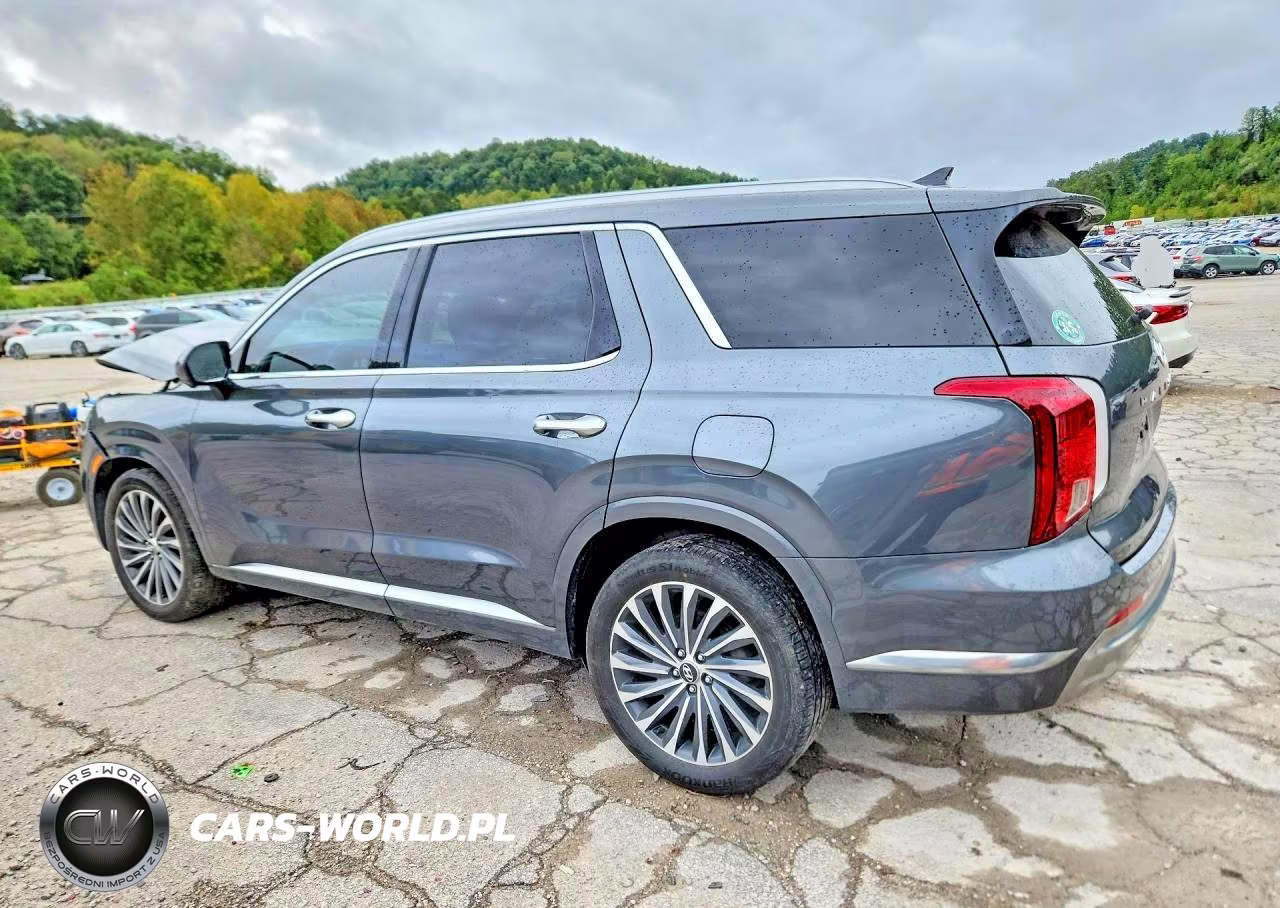 2024 Hyundai Palisade Calligraphy VIN:KM8R7DGE7RU805314 - 2