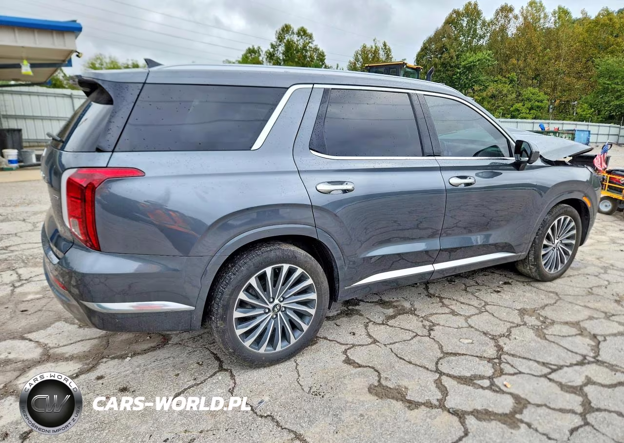 2024 Hyundai Palisade Calligraphy VIN:KM8R7DGE7RU805314 - 3