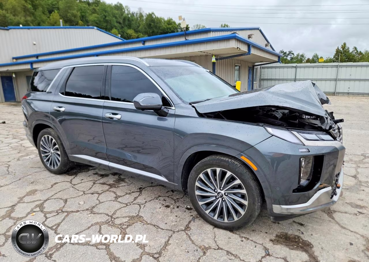 2024 Hyundai Palisade Calligraphy VIN:KM8R7DGE7RU805314 - 4