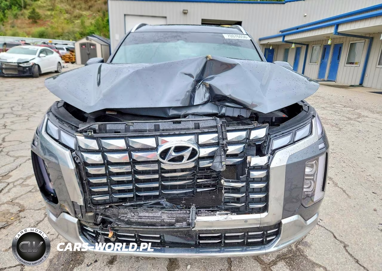 2024 Hyundai Palisade Calligraphy VIN:KM8R7DGE7RU805314 - 5