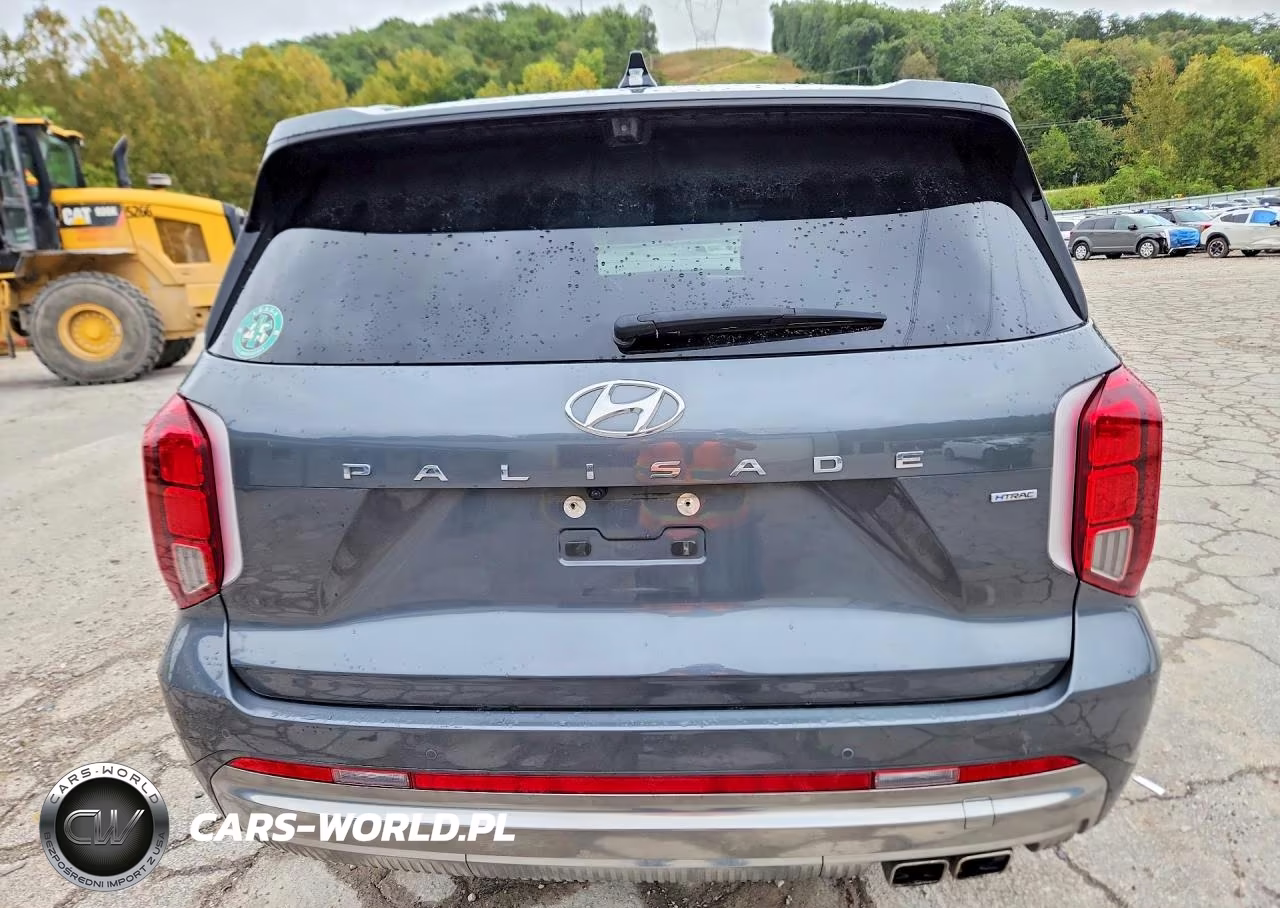 2024 Hyundai Palisade Calligraphy VIN:KM8R7DGE7RU805314 - 6