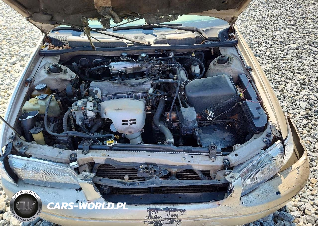1997 Toyota Camry Le VIN:4T1BG22K8VU162534 - 11