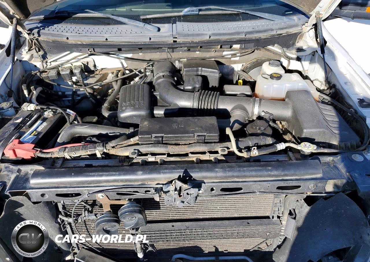 2010 Ford F150 Supercrew VIN:1FTFW1CV8AFD19120 - 11