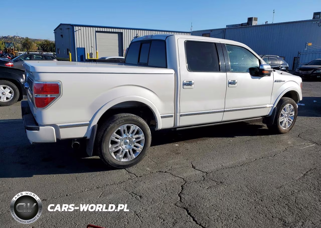 2010 Ford F150 Supercrew VIN:1FTFW1CV8AFD19120 - 3