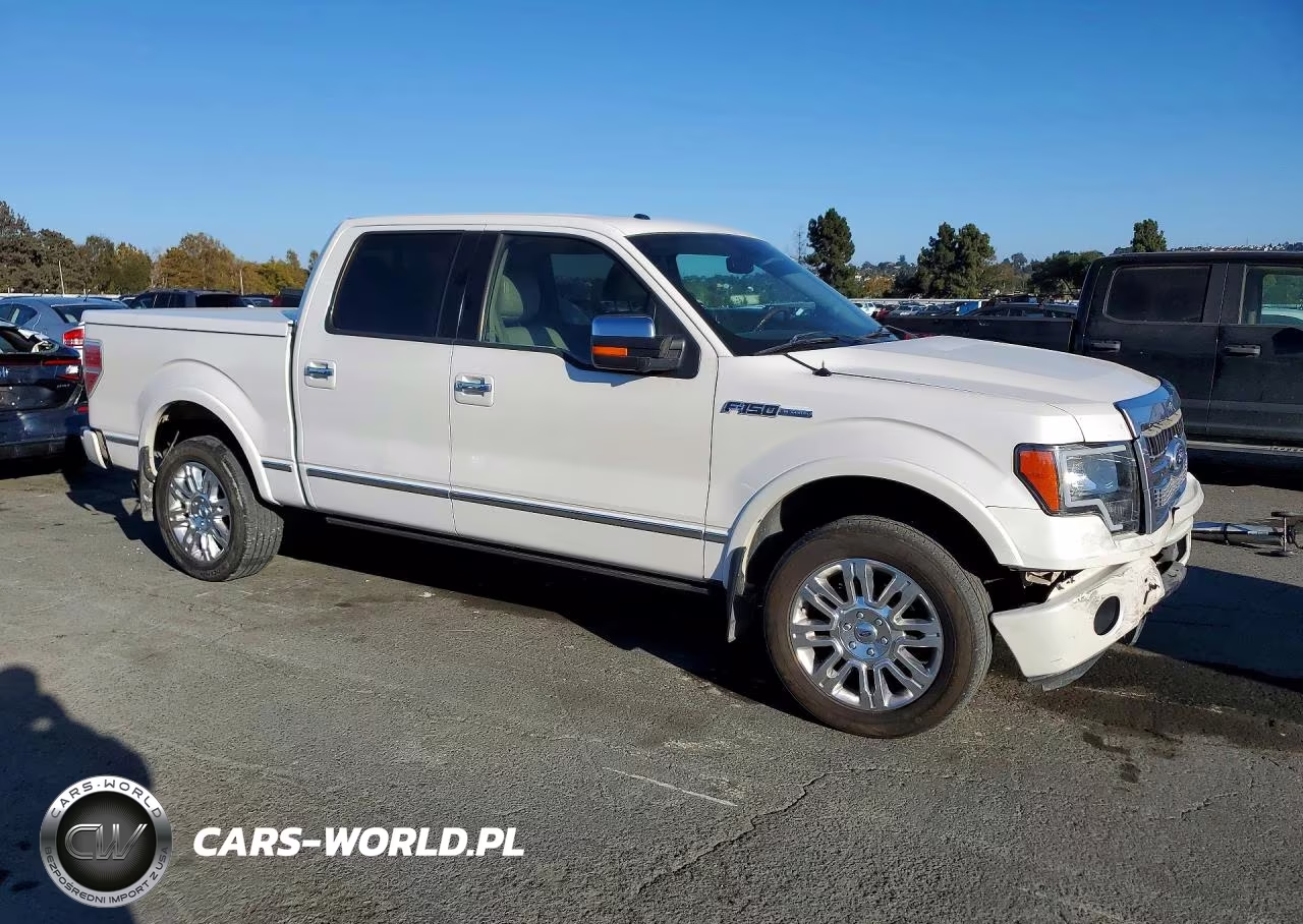 2010 Ford F150 Supercrew VIN:1FTFW1CV8AFD19120 - 4