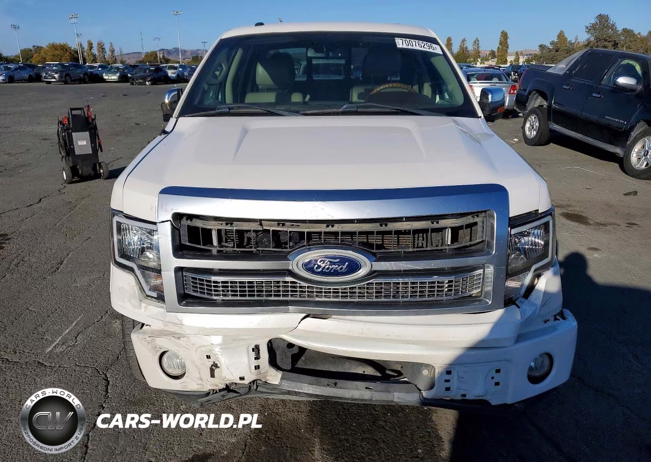 2010 Ford F150 Supercrew VIN:1FTFW1CV8AFD19120 - 5