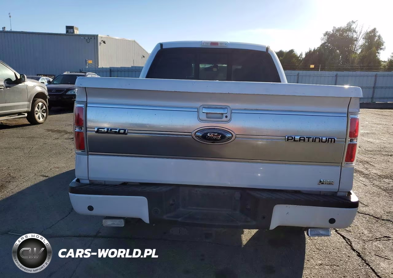 2010 Ford F150 Supercrew VIN:1FTFW1CV8AFD19120 - 6