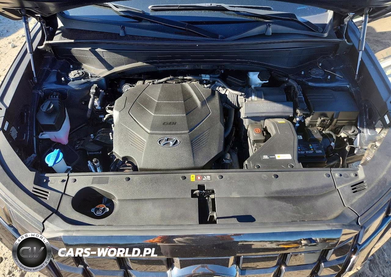 2024 Hyundai Palisade Limited VIN:KM8R5DGE5RU649179 - 12