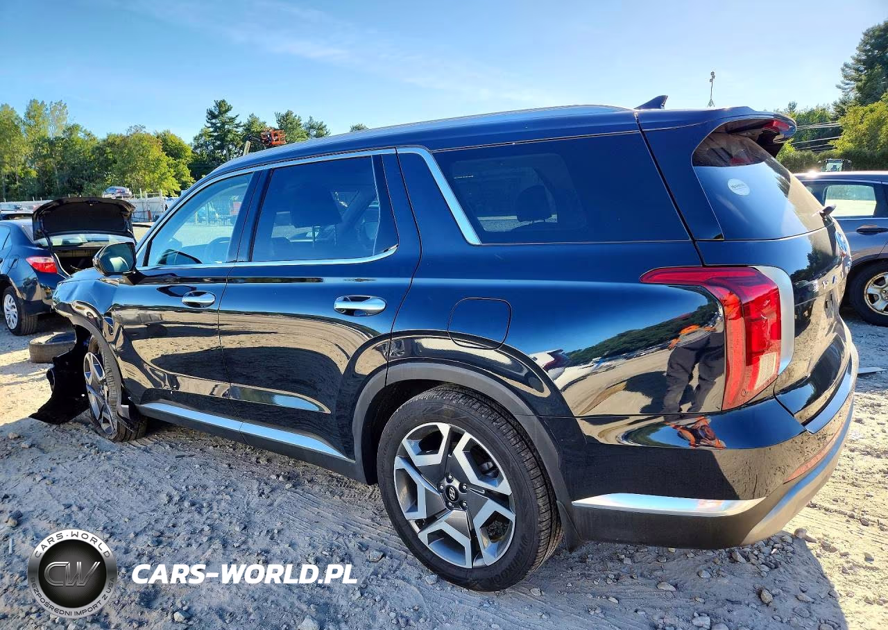 2024 Hyundai Palisade Limited VIN:KM8R5DGE5RU649179 - 2