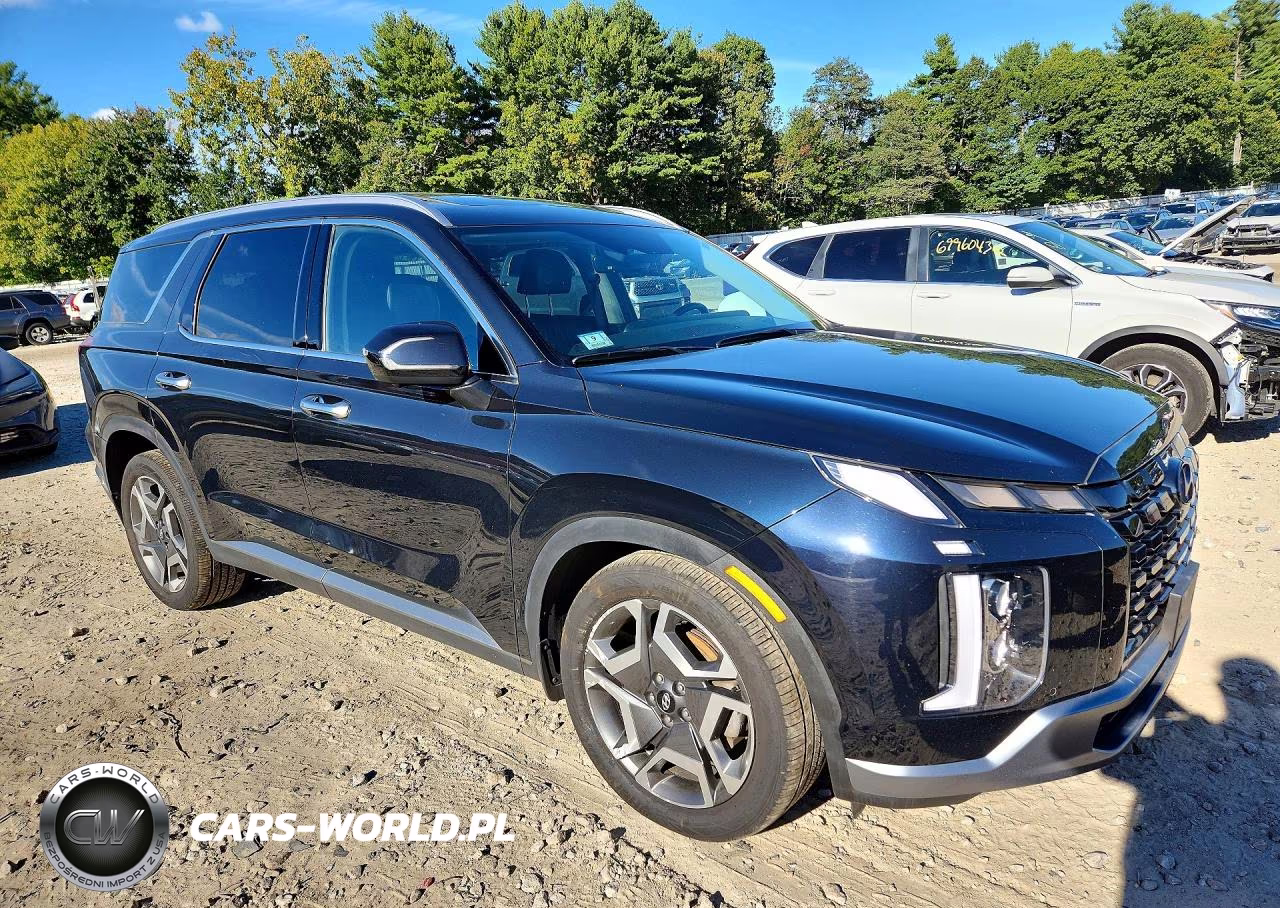 2024 Hyundai Palisade Limited VIN:KM8R5DGE5RU649179 - 4