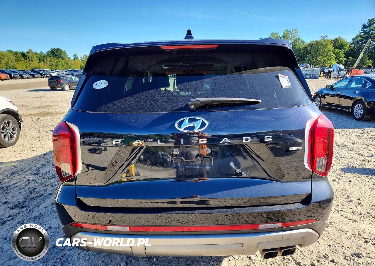 2024 Hyundai Palisade Limited VIN:KM8R5DGE5RU649179 - 6