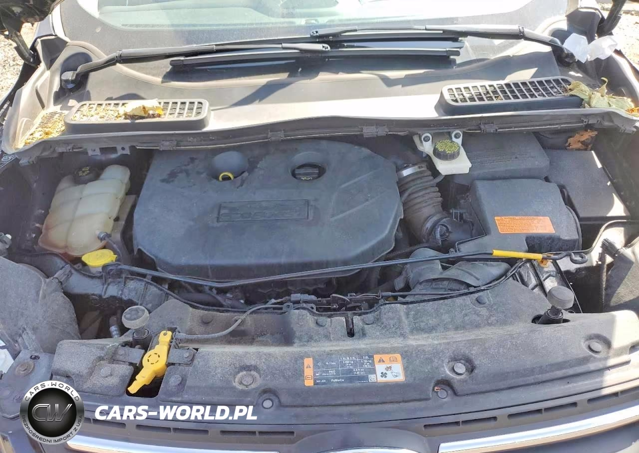 2014 Ford Escape Se VIN:1FMCU0G93EUA83649 - 11