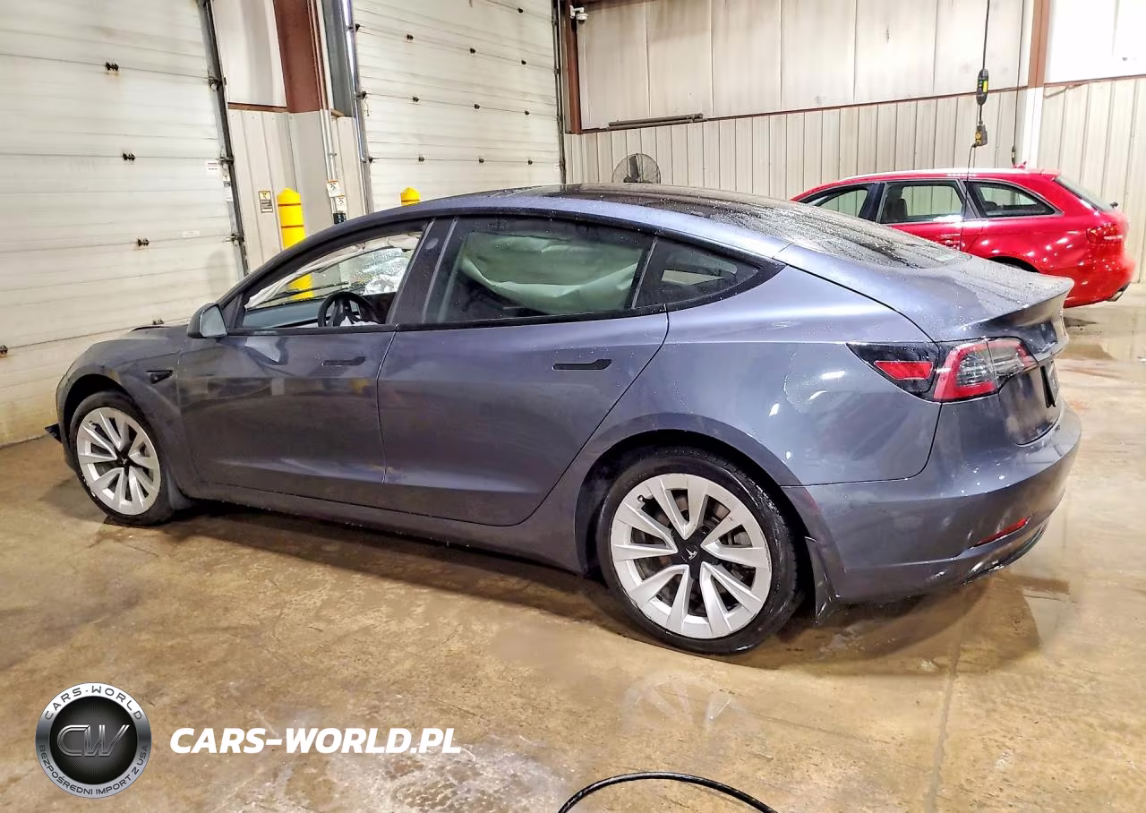 2023 Tesla Model 3 VIN:5YJ3E1EA6PF489439 - 2