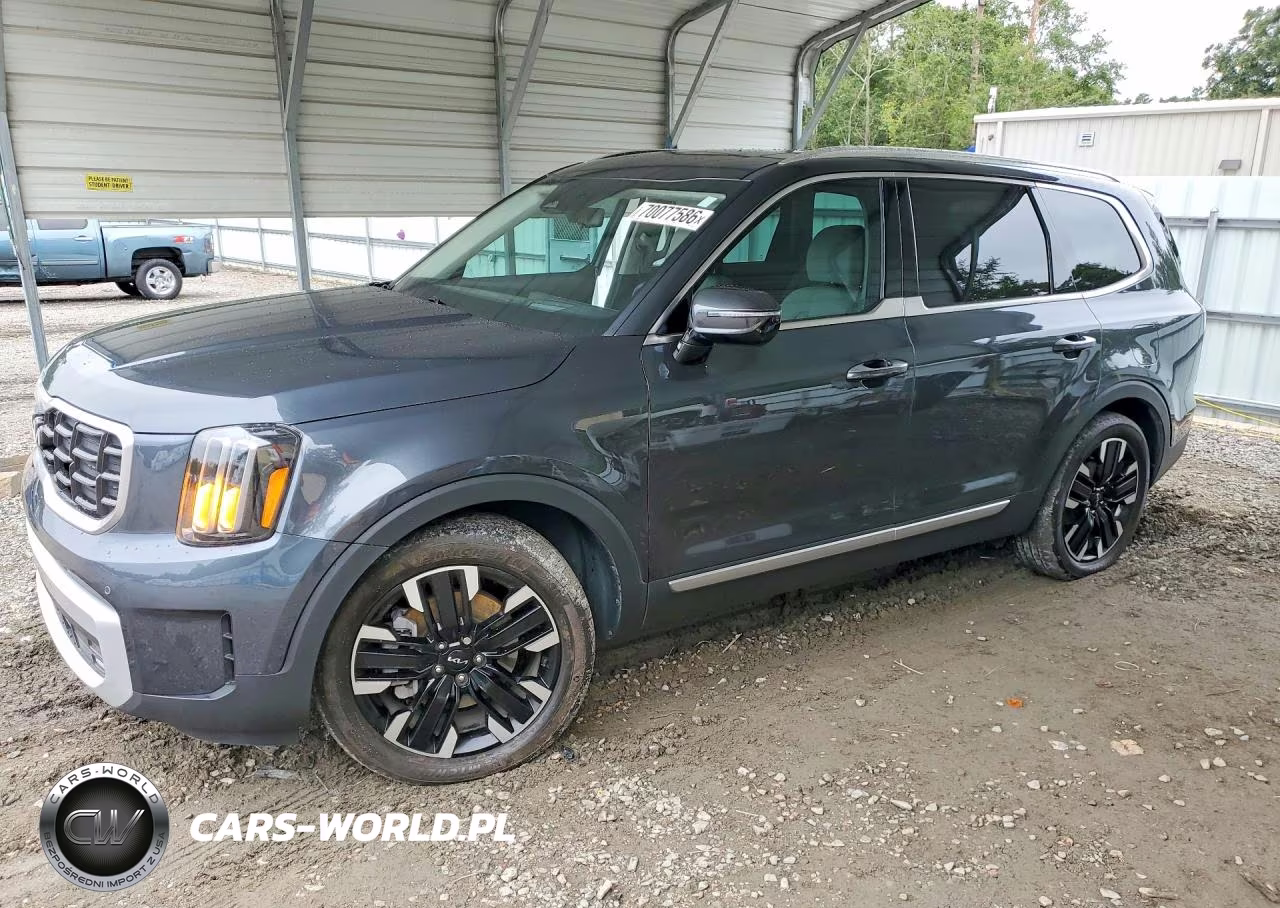 2024 Kia Telluride Sx-Prestige VIN:5XYP5DGC3RG516173 - 1