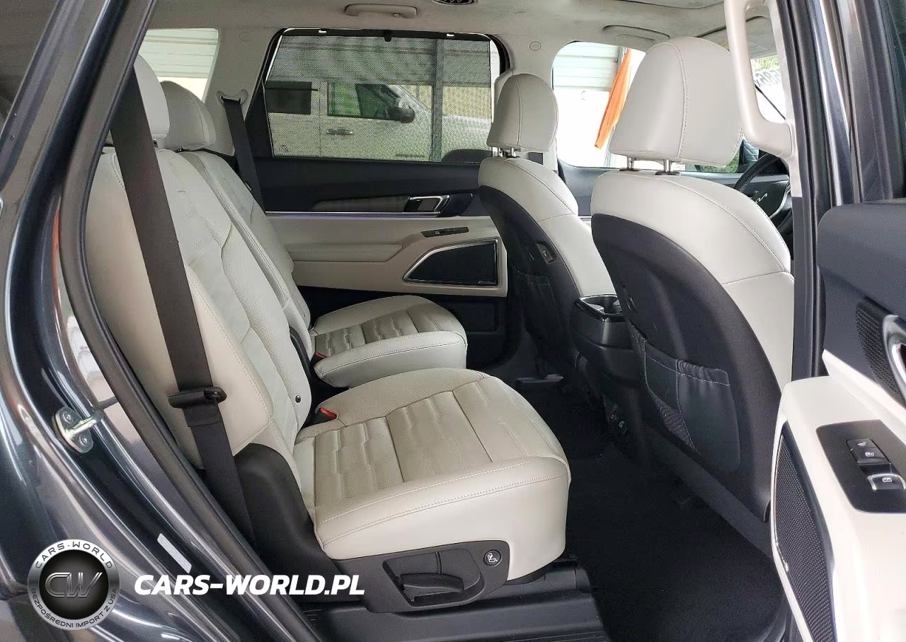 2024 Kia Telluride Sx-Prestige VIN:5XYP5DGC3RG516173 - 11
