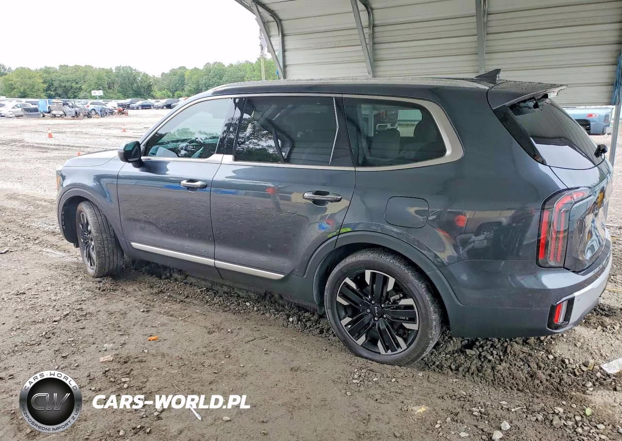 2024 Kia Telluride Sx-Prestige VIN:5XYP5DGC3RG516173 - 2