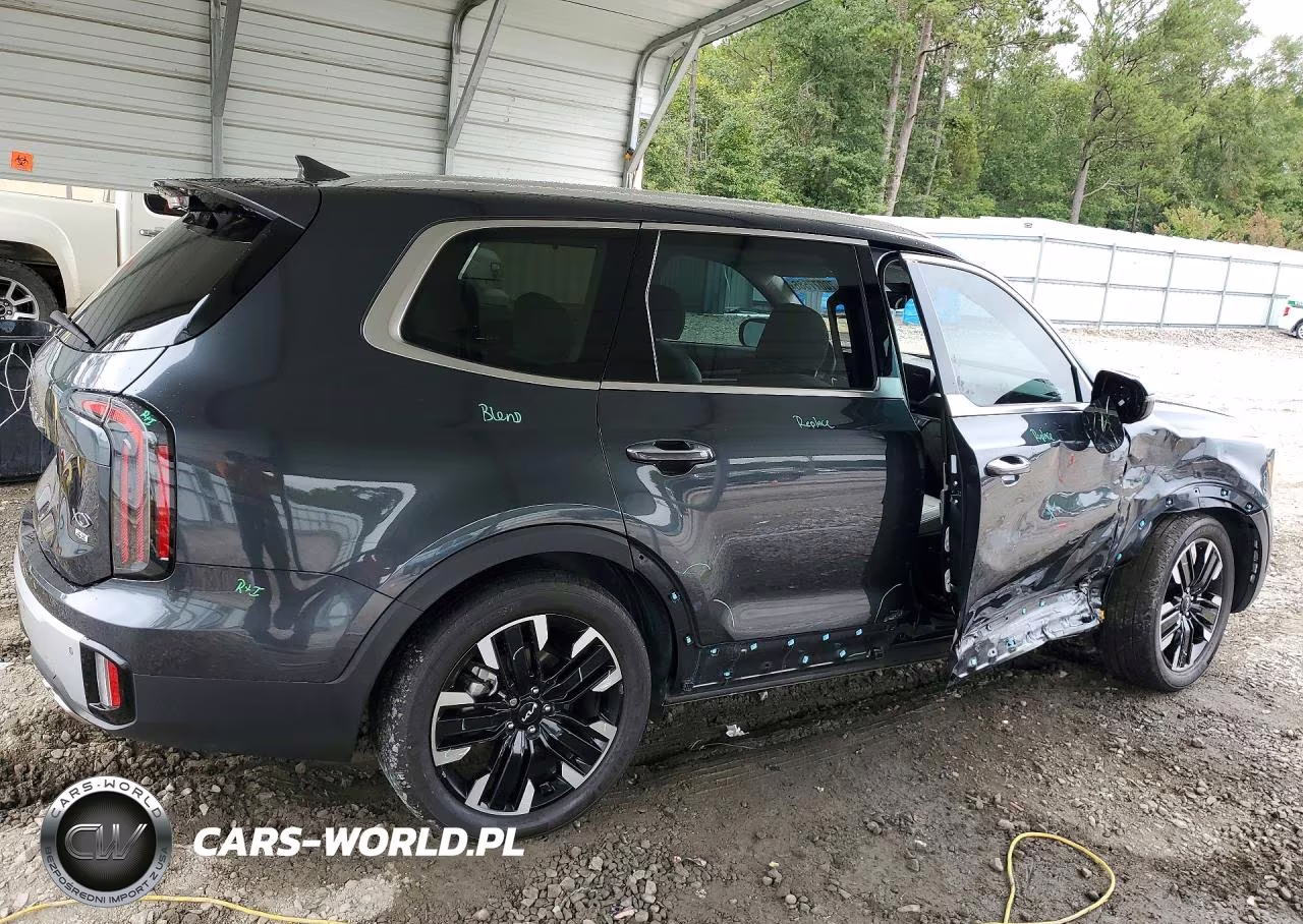 2024 Kia Telluride Sx-Prestige VIN:5XYP5DGC3RG516173 - 3