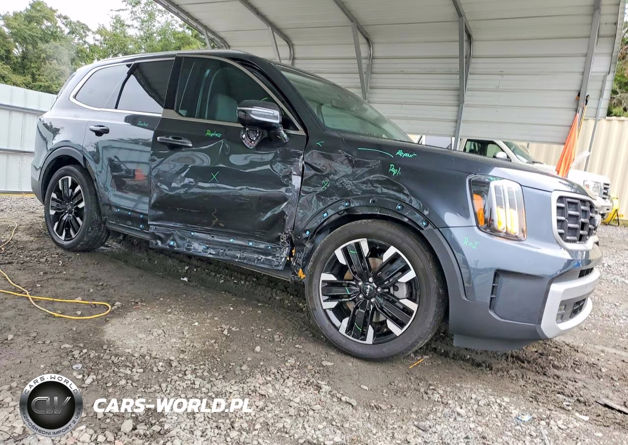 2024 Kia Telluride Sx-Prestige VIN:5XYP5DGC3RG516173 - 4