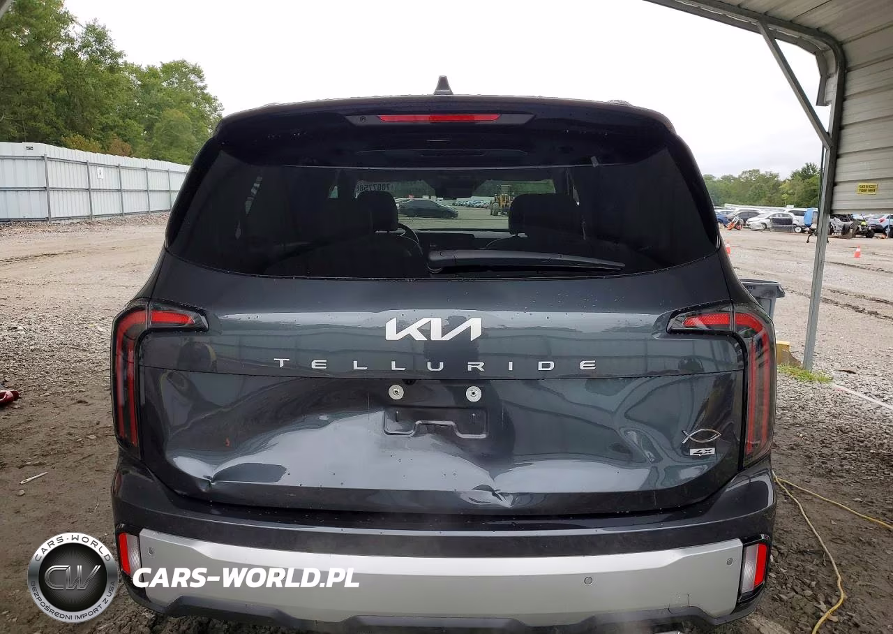 2024 Kia Telluride Sx-Prestige VIN:5XYP5DGC3RG516173 - 6
