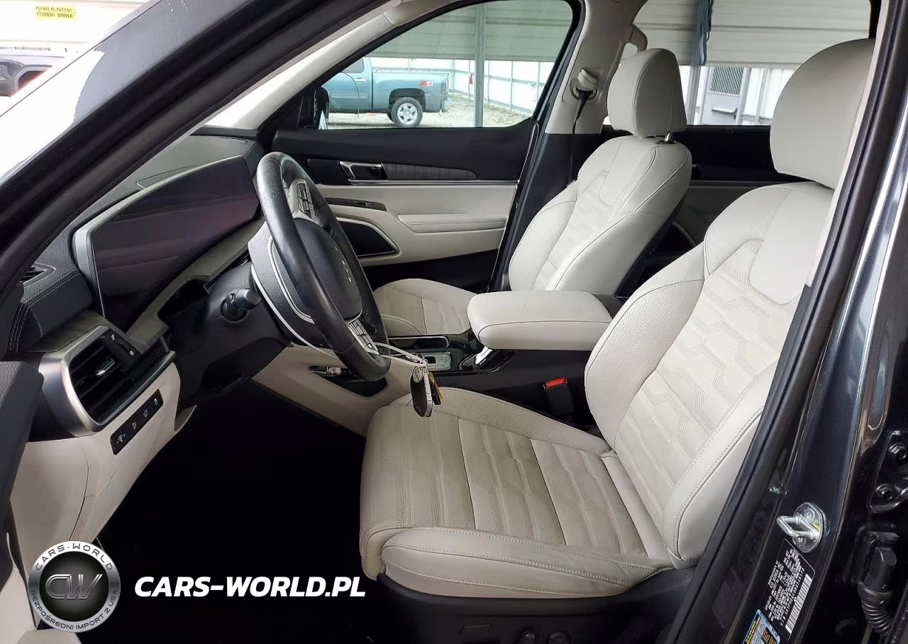 2024 Kia Telluride Sx-Prestige VIN:5XYP5DGC3RG516173 - 7