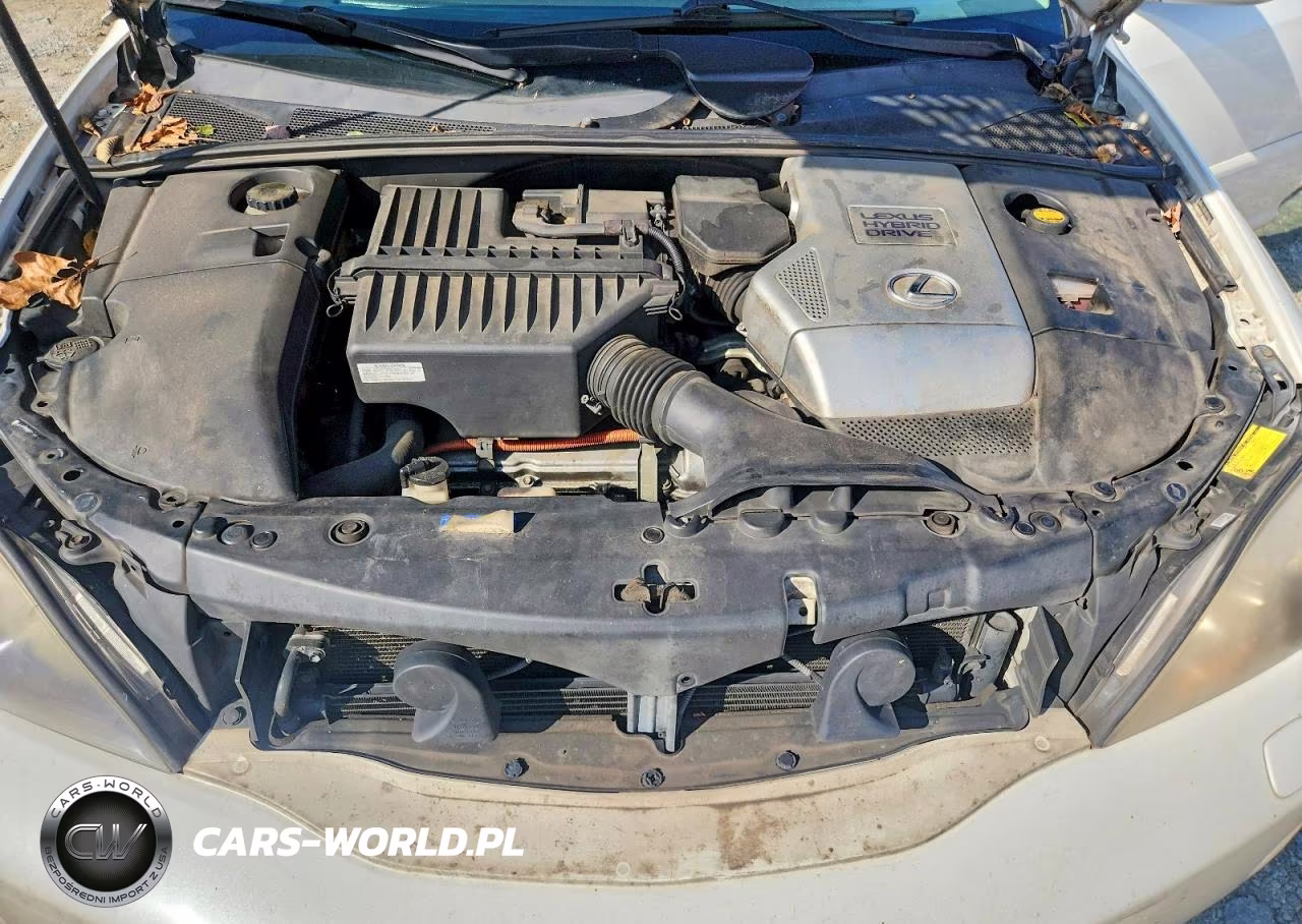 2008 Lexus Rx 400H VIN:JTJGW31U882006657 - 12