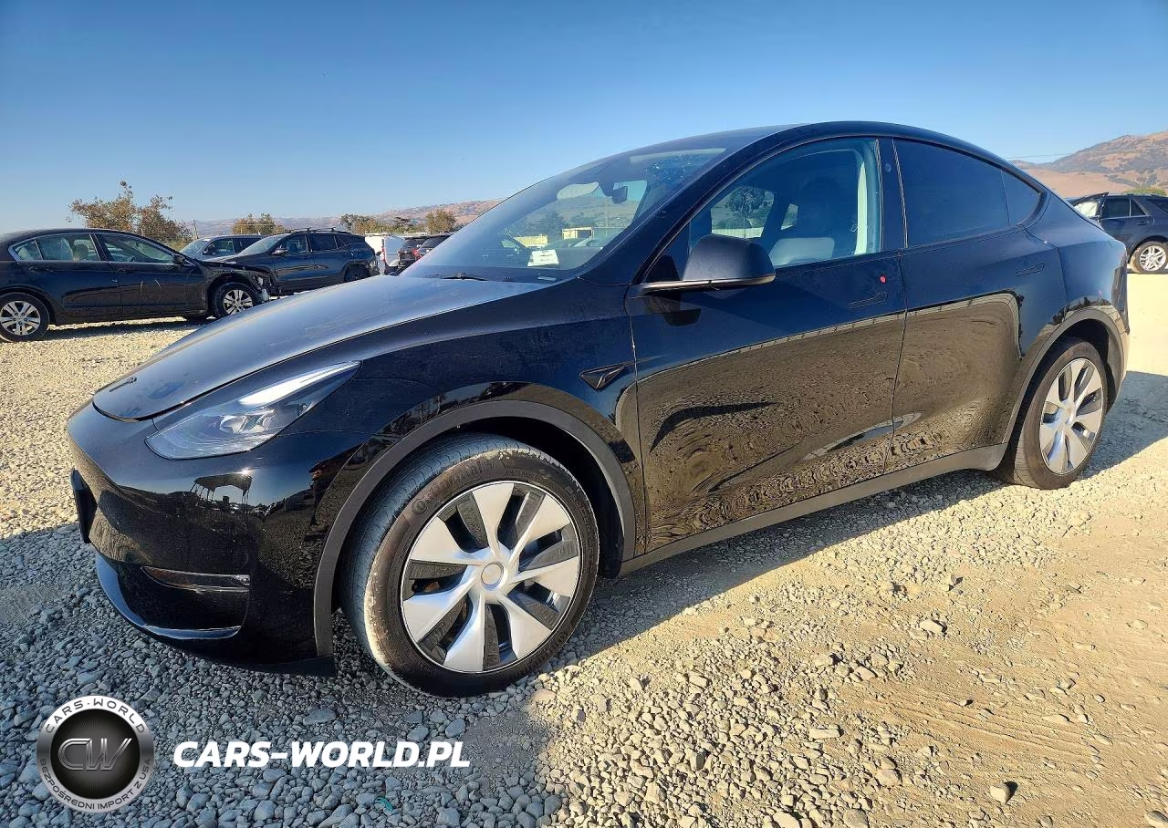2024 Tesla Model Y VIN:7SAYGDEE1RF032502 - 1