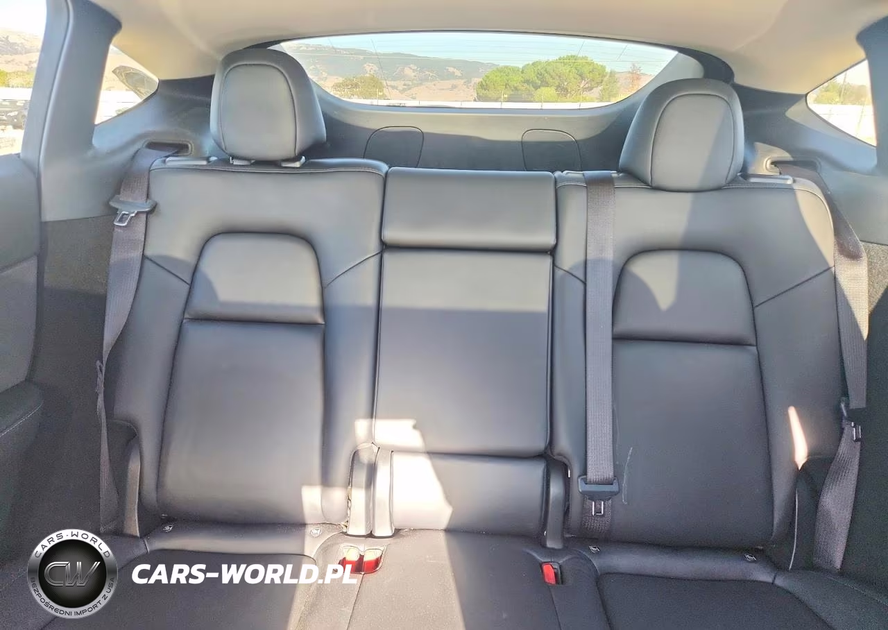 2024 Tesla Model Y VIN:7SAYGDEE1RF032502 - 10