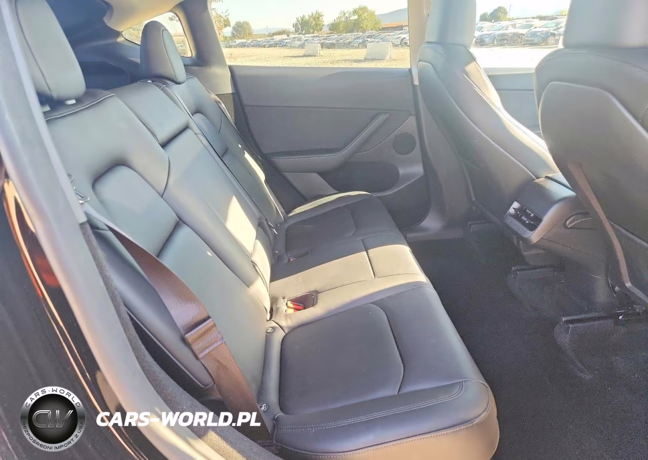 2024 Tesla Model Y VIN:7SAYGDEE1RF032502 - 11