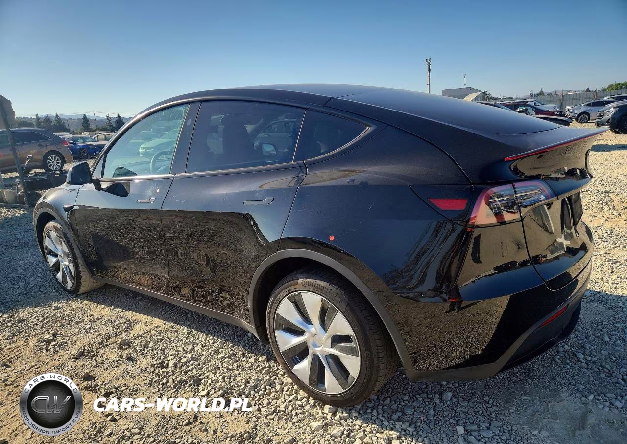 2024 Tesla Model Y VIN:7SAYGDEE1RF032502 - 2