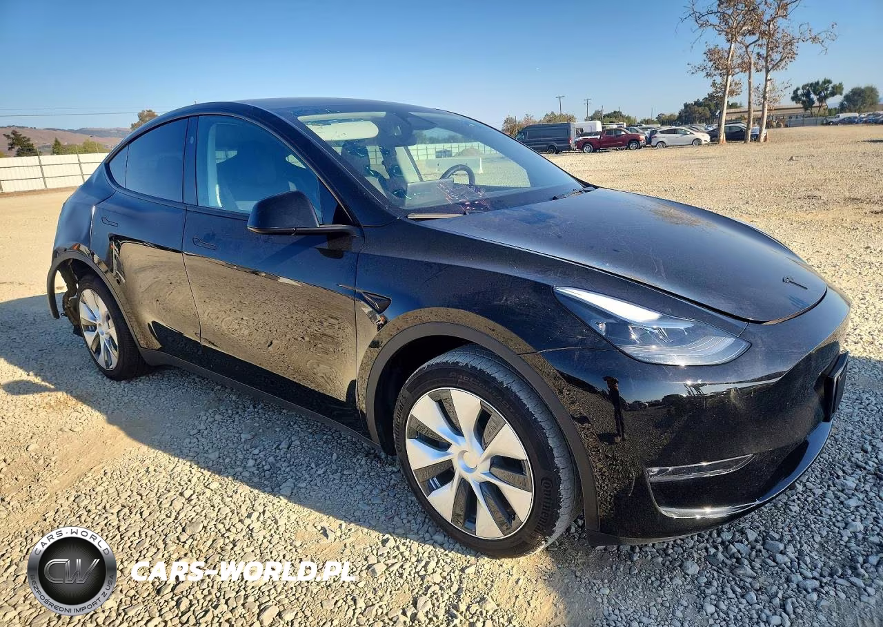 2024 Tesla Model Y VIN:7SAYGDEE1RF032502 - 4