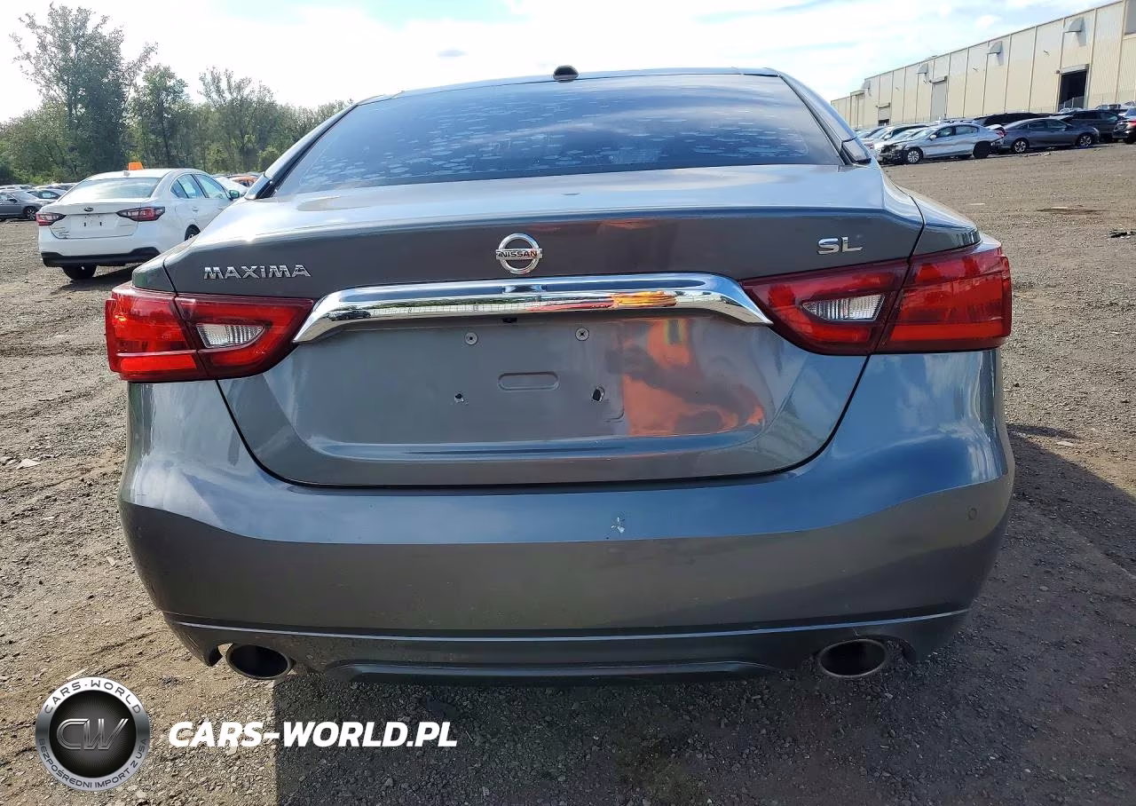 2017 Nissan Maxima 3.5 Sl VIN:1N4AA6AP6HC439462 - 6