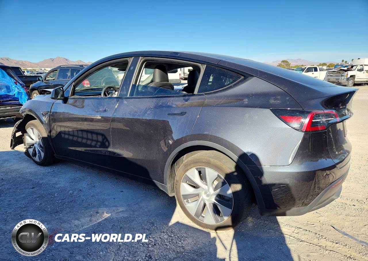 2024 Tesla Model Y VIN:7SAYGDEE7RF991046 - 2