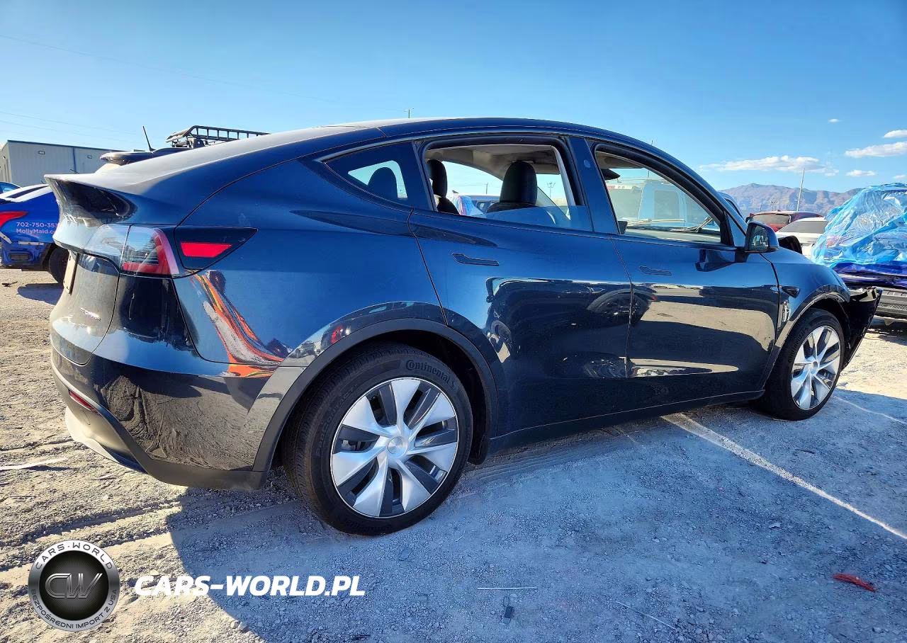 2024 Tesla Model Y VIN:7SAYGDEE7RF991046 - 3