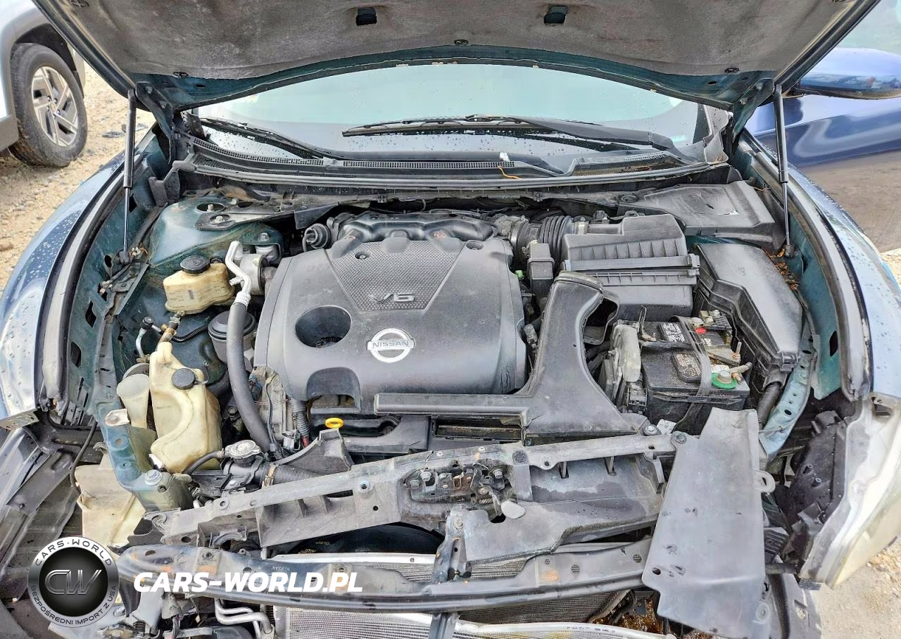 2009 Nissan Maxima 3.5 S VIN:1N4AA51E29C851209 - 11