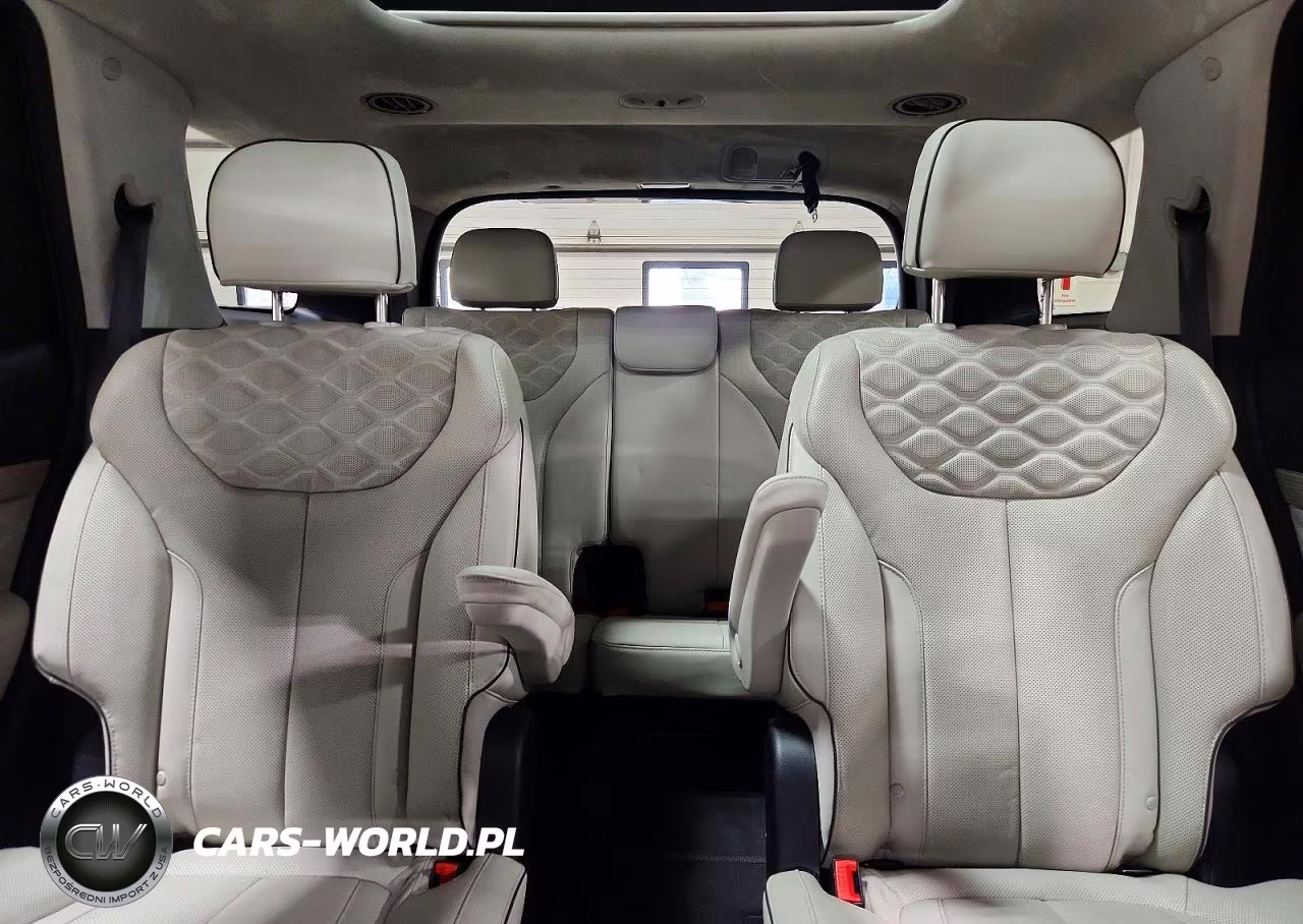 2022 Hyundai Palisade Calligraphy VIN:KM8R7DHE7NU404810 - 10